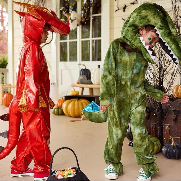 Pottery Barn Kids Dino Costume - Picture 14 of 16
